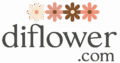 Di Flower